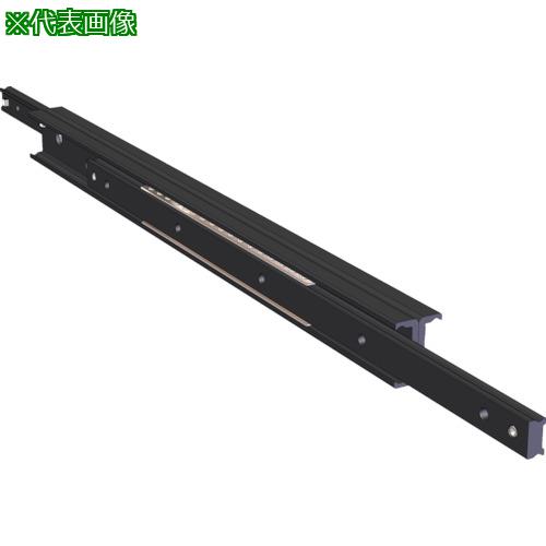 ■SUGATSUNE (190027864)TSQ28-0930重量用スライドレール※在庫限り〔品番:TSQ280930〕【8247607:0】[送料別途見積り][掲外取寄][店頭受取不可]
