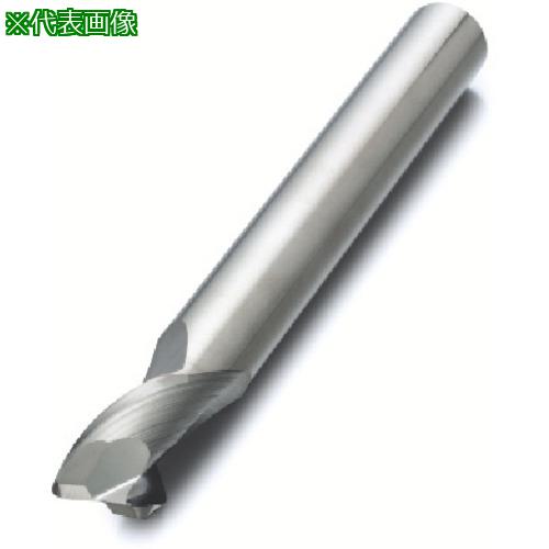 ■SANDVIK コロミルCoroMill[[R上]]Plura 大量の切りくず排出用超硬エンドミル(730) H10F〔品番:2S2210300020NG〕【8250576:0】[送料別途見積り][掲外取寄][店頭受取不可]｜ホームセンターバロー　店