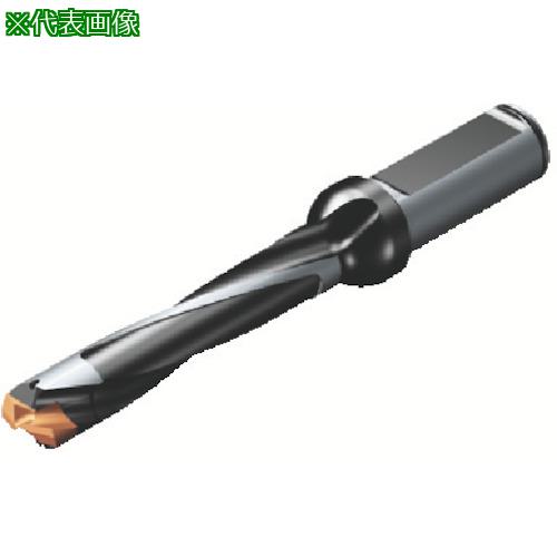 ■SANDVIK コロドリル870 ヘッド交換式ドリル(446)〔品番:87010507L165〕【8250885:0】[送料別途見積り][掲外取寄][店頭受取不可]｜ホームセンターバロー　店