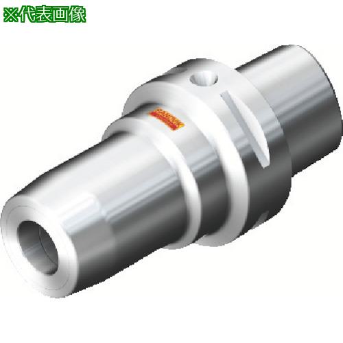 ■SANDVIK コロチャック930 高精度チャックホルダ(530)〔品番:930C8S20175〕【8251139:0】[送料別途見積り][掲外取寄][店頭受取不可]｜ホームセンターバロー　店