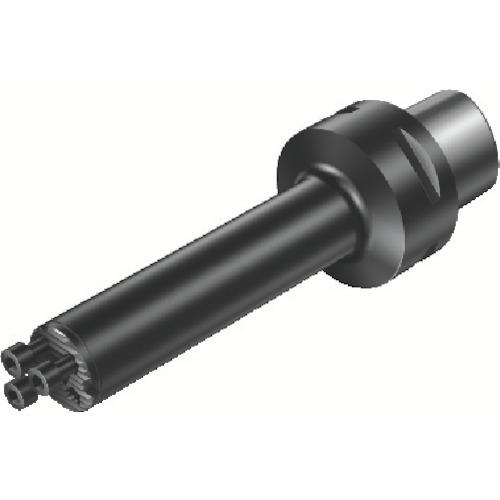 ■SANDVIK コロターンSL(410)〔品番:C3SL3C25125〕【8251568:0】[送料別途見積り][法人・事業所限定][掲外取寄][店頭受取不可]