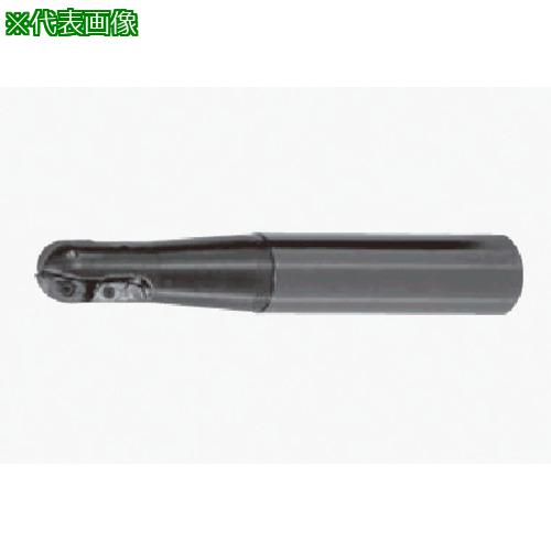 ■タンガロイ 中仕上げ加工用ボールエンドミル EBP〔品番:EBP030SS〕【8253589:0】[送料別途見積り][掲外取寄][店頭受取不可]