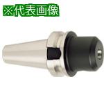 ■タンガロイ サイドロックホルダ(ホイッスルノッチ用)〔品番:BT40EM20X75E〕【8255342:0】[送料別途見積り][掲外取寄][店頭受取不可]