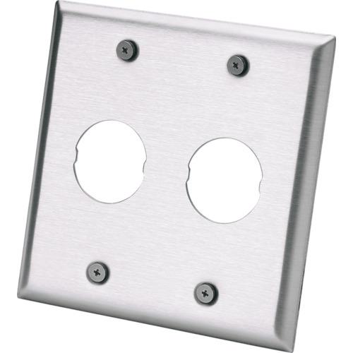 ■PANDUIT ステンレス製フェースプレート《10個入》〔品番:IAEFP22G〕【8257262×10:0】[送料別途見積り][法人・事業所限定][掲外取寄][店頭受取不可]