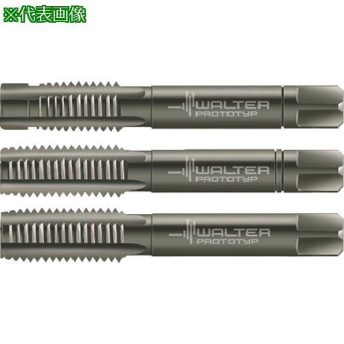 ■Prototyp ハンドタップセット〔品番:30016M3〕【8259525:0】[送料別途見積り][掲外取寄][店頭受取不可]
