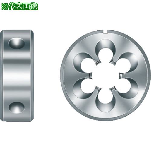 ■Prototyp ダイス〔品番:60003M20〕【8259581:0】[送料別途見積り][掲外取寄][店頭受取不可]
