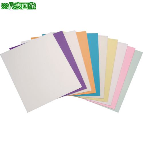 ■理研コランダム 精密研磨フィルムシート(SKF)#4000《50枚入》〔品番:19SKF228X2804000〕【8284401×50:0】[送料別途見積り][掲外取寄][店頭受取不可]