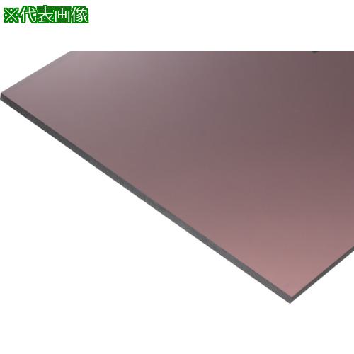 ■タキロン PETプレート ブラウンスモークPET-6820 5MM《3枚入》〔品番:PET682051X2〕【8304093×3:0】[法人・事業所限定][外直送元][店頭受取不可]