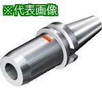 ■SANDVIK コロチャック930(530)〔品番:930BB40S25102〕【8360440:0】[送料別途見積り][法人・事業所限定][掲外取寄][店頭受取不可]