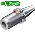 ■SANDVIK コロチャック930(540)〔品番:930I40S25095〕【8360456:0】[送料別途見積り][掲外取寄][店頭受取不可]