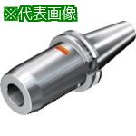 ■SANDVIK コロチャック930(530)〔品番:930VB50S25095〕【8360467:0】[送料別途見積り][法人・事業所限定][掲外取寄][店頭受取不可]