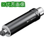 ■SANDVIK ミリングアダプタ(530)〔品番:C5Q22D048270〕【8360562:0】[送料別途見積り][掲外取寄][店頭受取不可]｜ホームセンターバロー　店