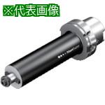 ■SANDVIK ミリングアダプタ(540)〔品番:HA06Q16D038230〕【8360846:0】[送料別途見積り][法人・事業所限定][掲外取寄][店頭受取不可]｜ホームセンターバロー　店