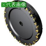 ■SANDVIK コロミルCoroMill[[R上]]425 正面フライスカッター(230)〔品番:L425250P17H〕【8360885:0】[送料別途見積り][掲外取寄][店頭受取不可]｜ホームセンターバロー　店