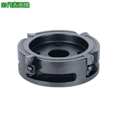 ■ダイジェット フィニッシュジェットミル 本体〔品番:FJM4100R32〕【8372370:0】[法人・事業所限定][外直送元][店頭受取不可]