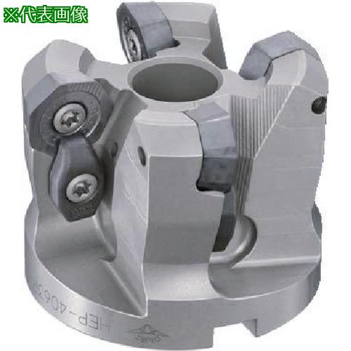■ダイジェット ヘプタミル 本体〔品番:HEP4063R0822〕【8372416:0】[法人・事業所限定][直送元][店頭受取不可]｜ホームセンターバロー　店