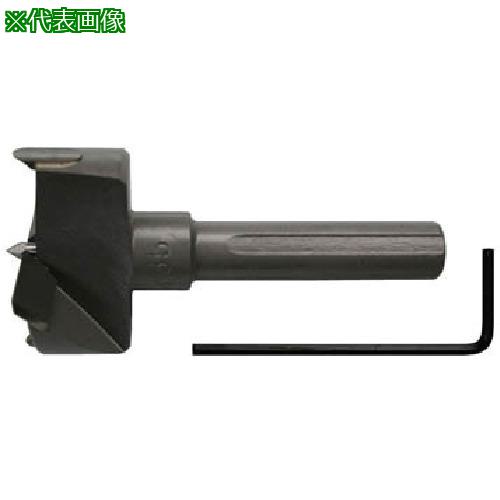 ■スターエム 超硬丁番錐 35.0〔品番:13D350〕【8374588:0】[送料別途見積り][法人・事業所限定][外直送][店頭受取不可] 7,344円