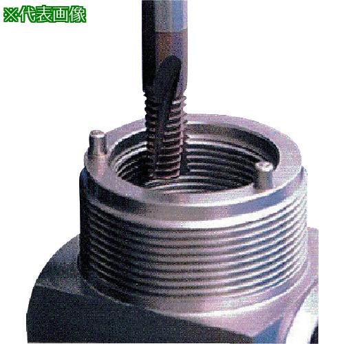 ■NOGA 超硬ソリッドミルスレッドUN 呼び寸法12UN〔品番:1010C2612UNMT7〕【8375824:0】[送料別途見積り][掲外取寄][店頭受取不可]
