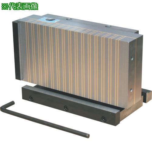 ■KANETEC 垂直形永磁チャック〔品番:SKM1530〕【8379776:0】[法人・事業所限定][外直送元][店頭受取不可]｜ホームセンターバロー　店 226,512円
