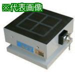 ■KANETEC 永電磁ブロック〔品番:EPB1F3333A〕【8379781:0】[法人・事業所限定][外直送元][店頭受取不可]｜ホームセンターバロー　店