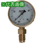 ■RIKEN 圧力計〔品番:AS100100M〕【8383458:0】[送料別途見積り][法人・事業所限定][外直送][店頭受取不可]｜ホームセンターバロー　店