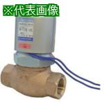 ■日本精器 2方向電磁弁 15A AC100V 717シリーズ水用〔品番:BN717BW15E100〕【8387741:0】[送料別途見積り][店頭受取不可]｜ホームセンターバロー　店