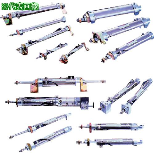 ■TAIYO 空気圧シリンダ〔品番:10Z3LP20N250〕【8400999:0】[送料別途見積り][掲外取寄][店頭受取不可]