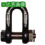 ■TAIYO JISシャックル M級 黒 SB-90(1007728)〔品番:SB90〕【8492519:0】[送料別途見積り][法人・事業所限定][直送][店頭受取不可]｜ホームセンターバロー　店