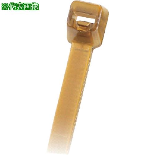 超ワイドモンキレンチ×北斗の拳|最強二人三脚がここに具体化！