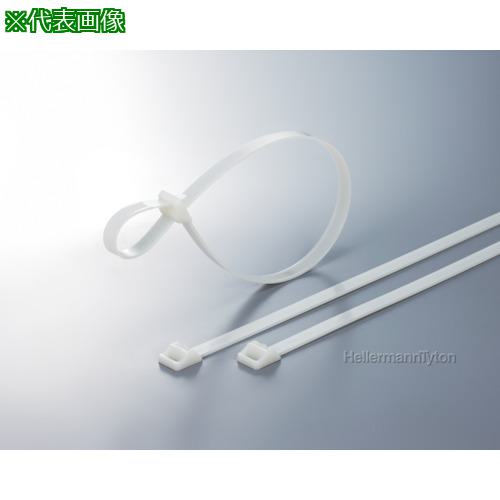 ■TYTON ラッシングタイ RT250タイプ 幅12.5×長さ735mm〔品番:RT250I〕【8503832:0】[送料別途見積り][掲外取寄][店頭受取不可]