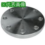 ■inoc ブラインドフランジ SUS304 BF 10K 600A〔品番:304BF10K600A〕【8505167:0】[法人・事業所限定][外直送元][店頭受取不可]