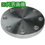 ■inoc ブラインドフランジ SUS304 BF 5K 550A〔品番:304BF5K550A〕【8505173:0】[法人・事業所限定][外直送元][店頭受取不可]｜ホームセンターバロー　店