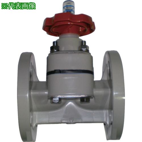 ■エスロン ダイヤフラム 本体:PP 隔膜:PTFE 10Kフランジ 20A〔品番:DPPF20〕【8506042:0】[送料別途見積り][法人・事業所限定][外直送][店頭受取不可]｜ホームセンターバロー　店