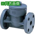 ■アサヒAV スイングチェックバルブ HI-PVC/EPDM 10K20A〔品番:VSCORIEF1020〕【8506837:0】[送料別途見積り][法人・事業所限定][外直送][店頭受取不可]