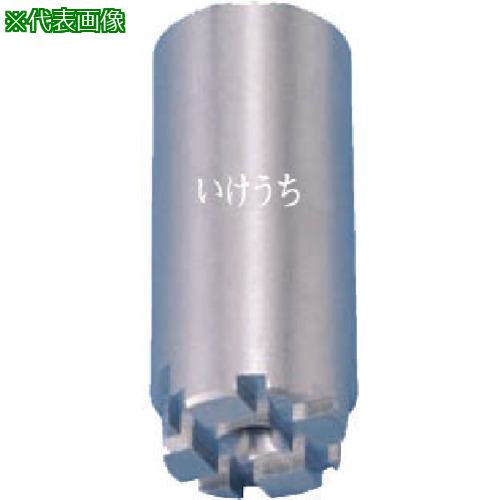 ■いけうち 充角錐ノズル SSXPシリーズ ステンレス鋼303製 ネジ1メス 100°〔品番:1FSSXP50S303〕【8507663:0】[送料別途見積り][法人・事業所限定][外直送][店頭受取不可]