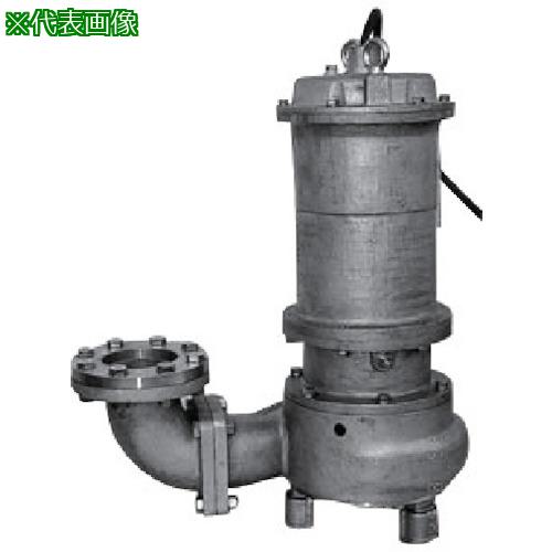 ■TERADA 防食形ステンレス水中ポンプ (SUS316) 0.75kw 全揚程10m 50Hz〔品番:CS4N007E〕【8508441:0】[送料別途見積り][法人・事業所限定][直送][店頭受取不可]｜ホームセンターバロー　店