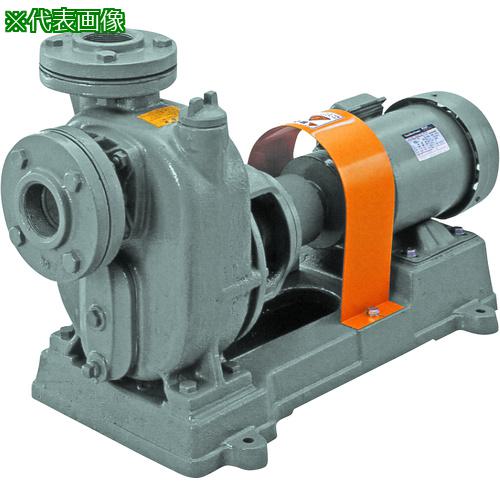 ■TERADA セルプラポンプ 鋳鉄製メカニカルシール式 0.4kw 全揚程6.5m モーター付〔品番:OL3M50HZ200VWM〕【8509339:0】[法人・事業所限定][直送元][店頭受取不可]｜ホームセンターバロー　店