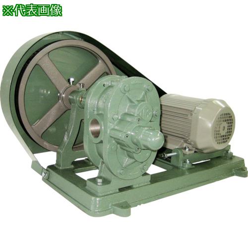 ■NK ギヤーポンプ(安全弁付・電動機連結型)〔品番:ME2S114〕【8509726:0】[法人・事業所限定][直送元][店頭受取不可]