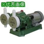 ■KUK 2連式ダイヤフラム定量ポンプ PTFE製 200(V) 200(W) 屋外型〔品番:D2000F〕【8509932:0】[送料別途見積り][法人・事業所限定][直送][店頭受取不可] 220,880円