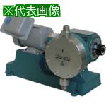 ■KUK ダイヤフラム式定量ポンプ SUS製 200(V) 200(W) 屋外型〔品番:E4000S〕【8509982:0】[法人・事業所限定][直送元][店頭受取不可]