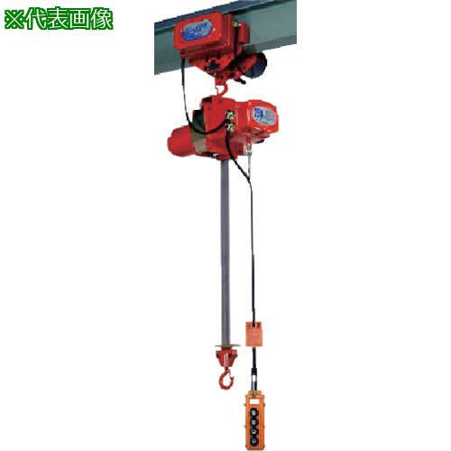 ■象印 三相200Vファイバーホイスト(1速型)250KG・5m (BECM-250)〔品番:BECMK2550〕【8515944:0】[送料別途見積り][法人・事業所限定][外直送][店頭受取不可]