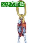 ■象印 チェーンエコライザー20ton〔品番:CE20000〕【8516262:0】[送料別途見積り][法人・事業所限定][直送][店頭受取不可]｜ホームセンターバロー　店