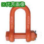 ■TAIYO 軽量シャックル RS-32t(1062651)〔品番:RS32T〕【8516444:0】[法人・事業所限定][直送元][店頭受取不可]｜ホームセンターバロー　店