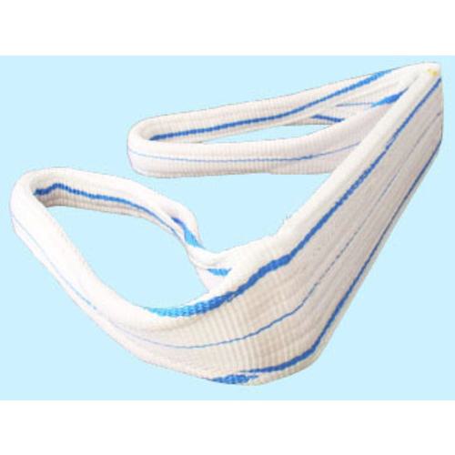 ■TESAC 耐化学薬品用スリング(JIS2等級・両端アイ形)100mm幅&times;3m〔品番:PP2E100X3〕【8518235:0】[送料別途見積り][法人・事業所限定][掲外取寄][店頭受取不可]｜ホームセンターバロー　店