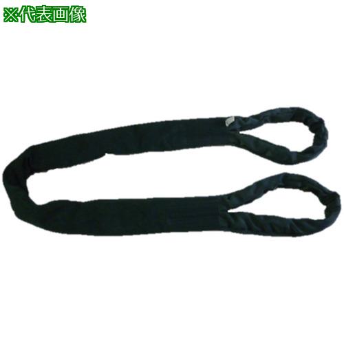 ■TESAC ブルースリングソフトE形(両端アイタイプ)25t用&times;6m〔品番:TBSE25TX6M〕【8519207:0】[法人・事業所限定][外直送元][店頭受取不可]｜ホームセンターバロー　店