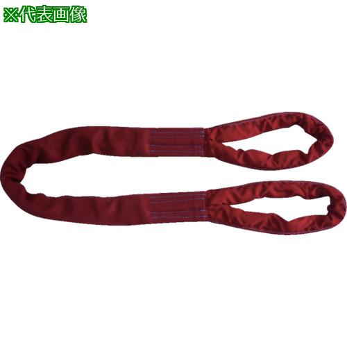 ■TESAC ブルースリングソフトE形(両端アイタイプ)5t用×2.5m(JIS規格品)〔品番:TBSE5TX2.5M〕【8519210:0】[送料別途見積り][法人・事業所限定][掲外取寄][店頭受取不可]