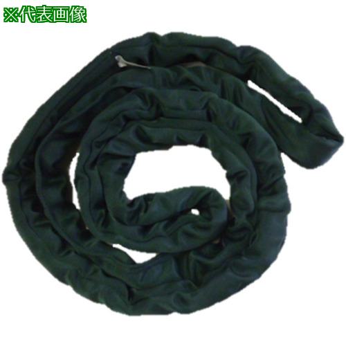 ■TESAC ブルースリングソフトN形(エンドレスタイプ)16t用&times;3m(JIS規格品)〔品番:TBSN16TX3M〕【8519230:0】[法人・事業所限定][外直送元][店頭受取不可]｜ホームセンターバロー　店