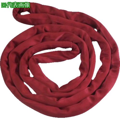 ■TESAC ブルースリングソフトN形(エンドレスタイプ)5t用&times;4m(JIS規格品)〔品番:TBSN5TX4M〕【8519253:0】[送料別途見積り][掲外取寄][店頭受取不可]｜ホームセンターバロー　店