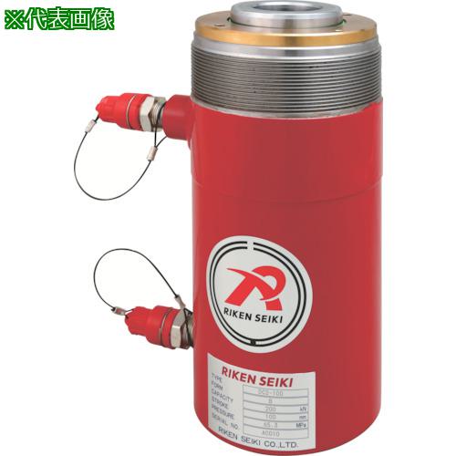 ■RIKEN センターホールシリンダ〔品番:DC3100VC〕【8520044:0】[送料別途見積り][法人・事業所限定][外直送][店頭受取不可]｜ホームセンターバロー　店