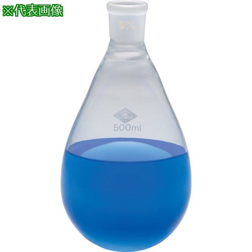 ■フロンケミカル フッ素樹脂ナノコート内面摺合せナス型フラスコ 200ml〔品番:NR0381006〕【8569412:0】[送料別途見積り][掲外取寄][店頭受取不可]